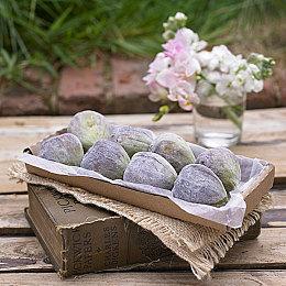 补牢未成 《收获日3》首个补丁发布玩家数量仍低迷